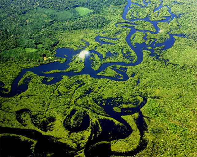 Foto de Do organismo a biosfera