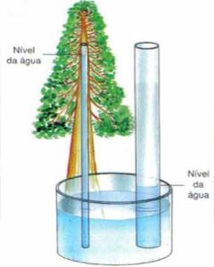 força de adesão da água